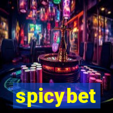 spicybet-5.com