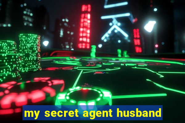 my secret agent husband