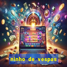 ninho de vespas significado espiritual